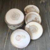 Set of 10 (3.5-4") Wood Slices