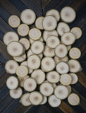 Set of 50 2"-3" Wood Slices